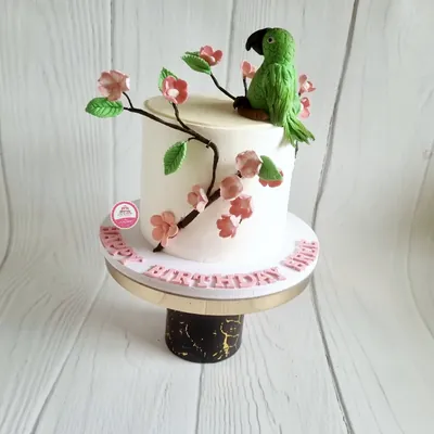 Birthday — Adults custom cake by Cakes & Shapes, Dubai — design code CS-0269